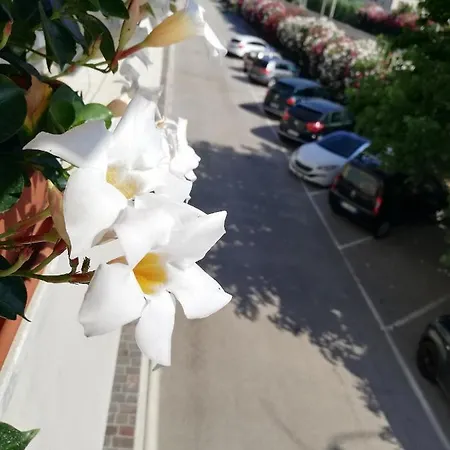 La Dimora Di Lola * Porto SantʼElpidio